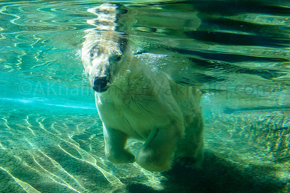 Underwater