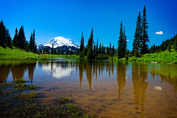 Rainier at Tipsoo