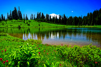 Rainier and flowers around Tipsoo Lake