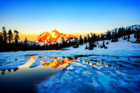 Shuksan gold