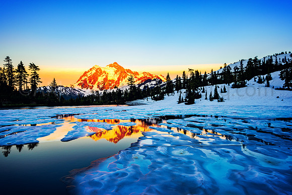 Shuksan gold